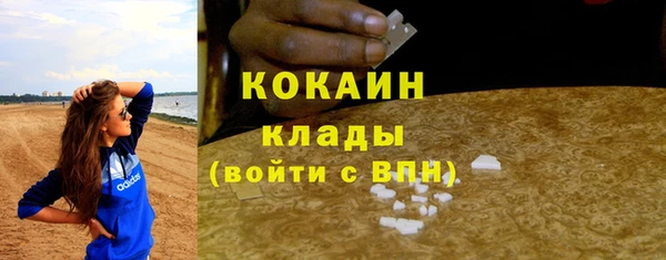 apvp Каменногорск