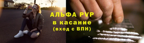 apvp Каменногорск