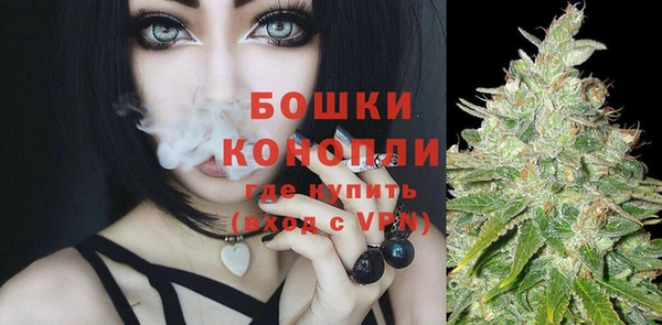 apvp Каменногорск