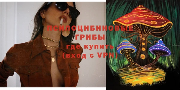 apvp Каменногорск