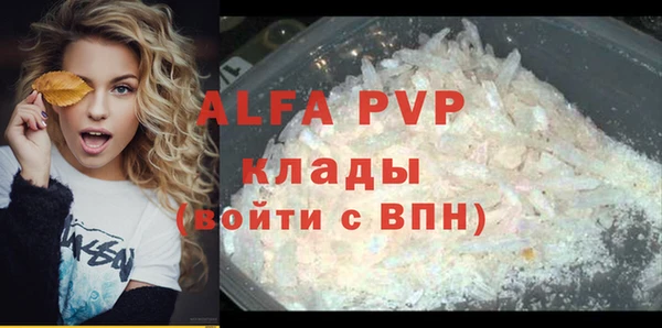 apvp Каменногорск