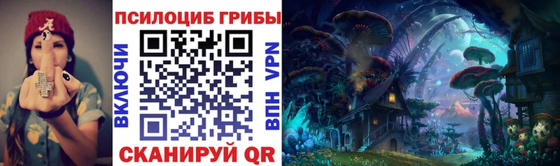 Купить закладки Дятьково Псилоцибиновые грибы MAGIC MUSHROOMS