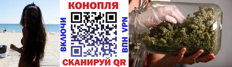 Купить где  Дятьково  Канабис OG Kush 